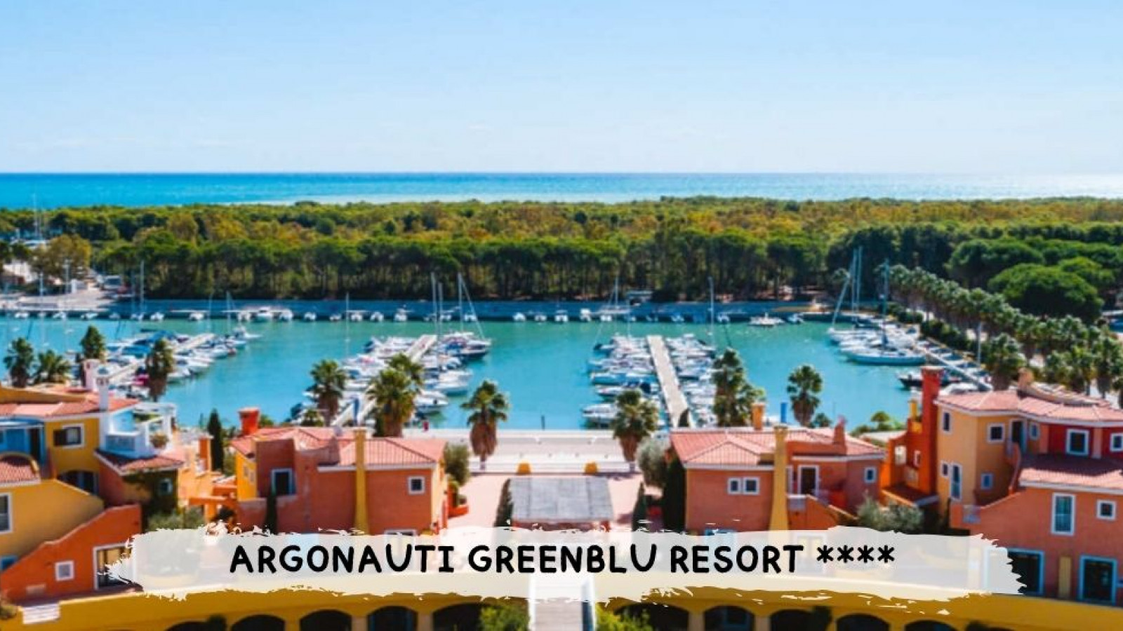 2026 basilicata argonauti IN33