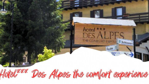 2025 trentino estate des alpes IN33