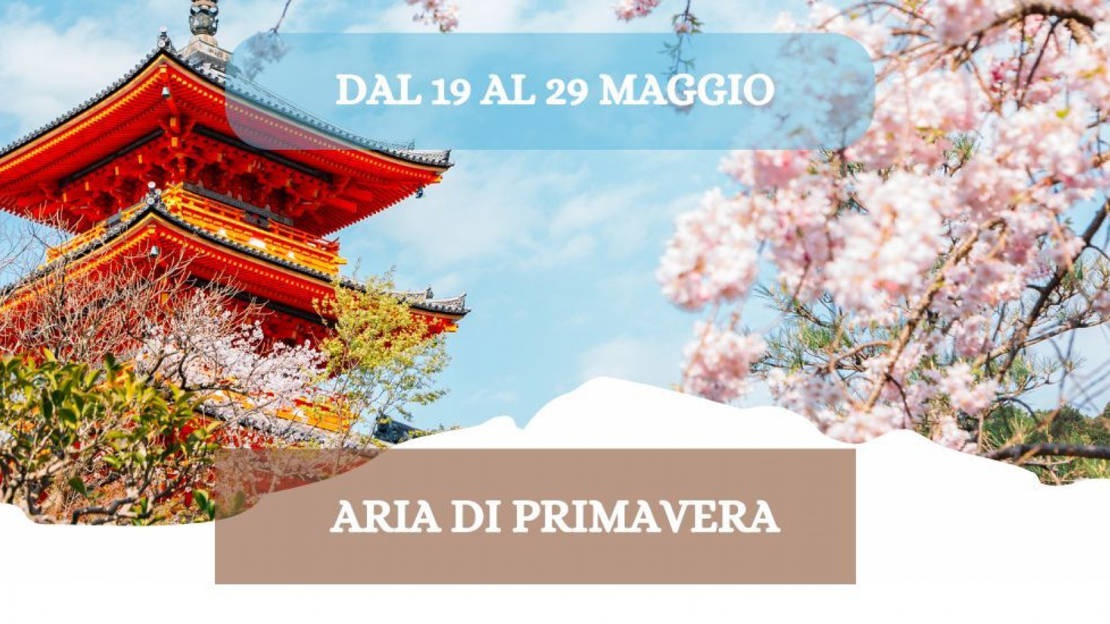 2026 W giappone aria di primavera 19 05 26 IN33