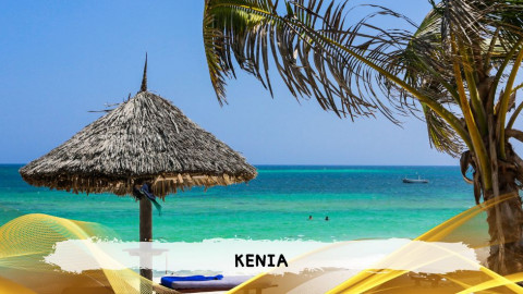 2026 kenya 9,14 08 T IN33