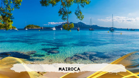 2026 maiorca 11 agosto napoli T IN33