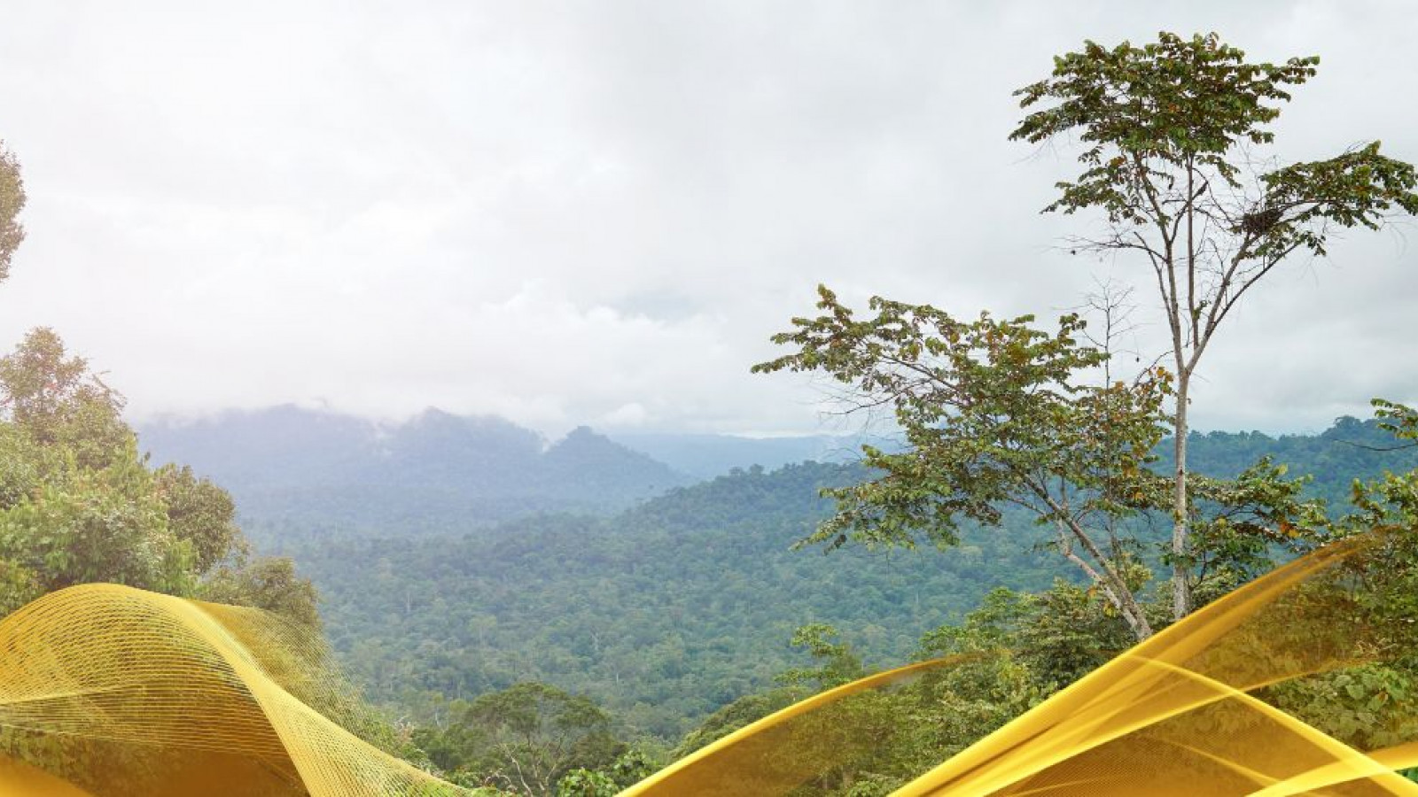 2026 malesia tour mare e altopiani 9 08 O IN33