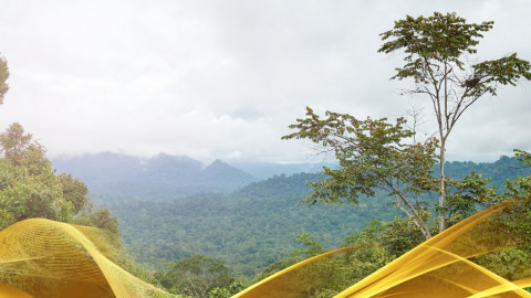 2026 malesia tour mare e altopiani 9 08 O IN33