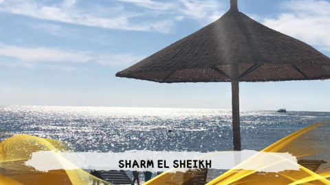 2026 sharm el sheikh da roma T IN33