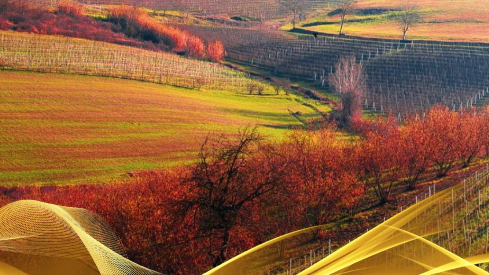 2026 W torino e le langhe 30 05 IN33