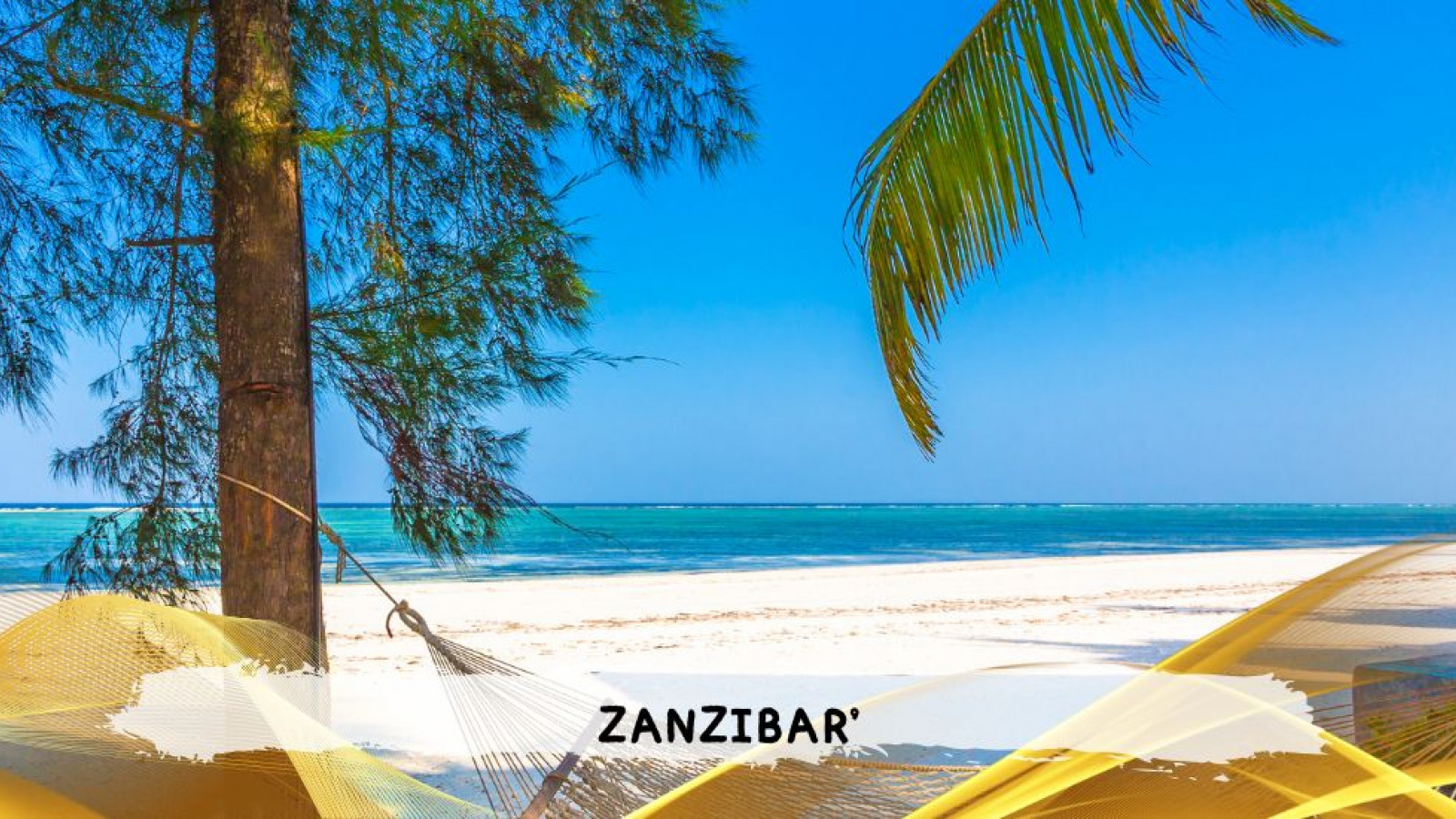 2026 zanzibar 11 08 T IN33